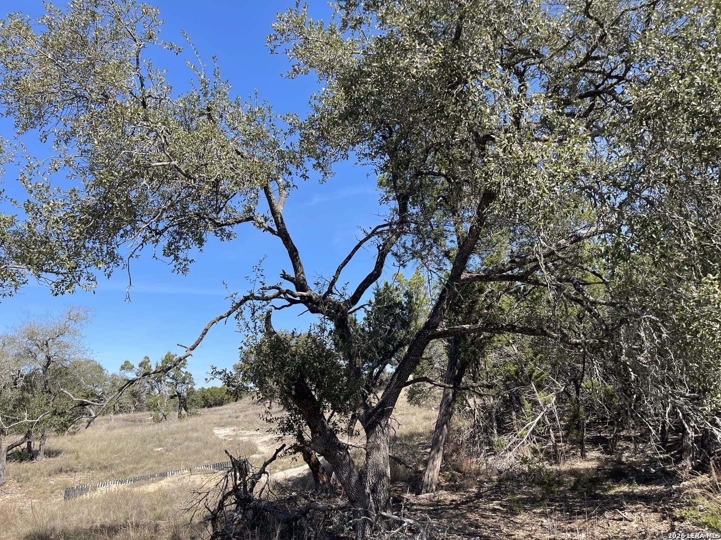 3.86 acres in Comal County gallery image 4