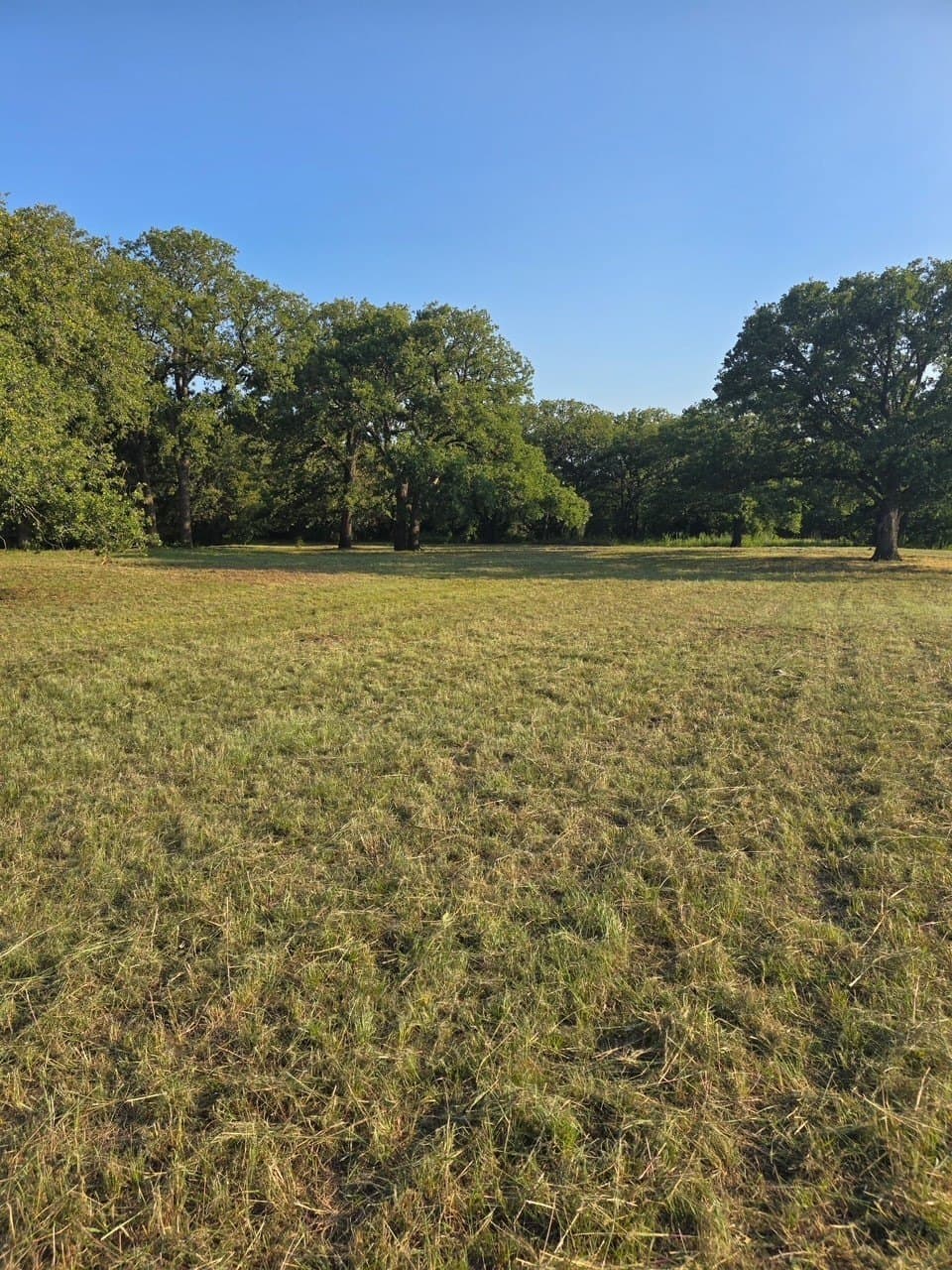 4.28 acres in Montague County gallery image 2