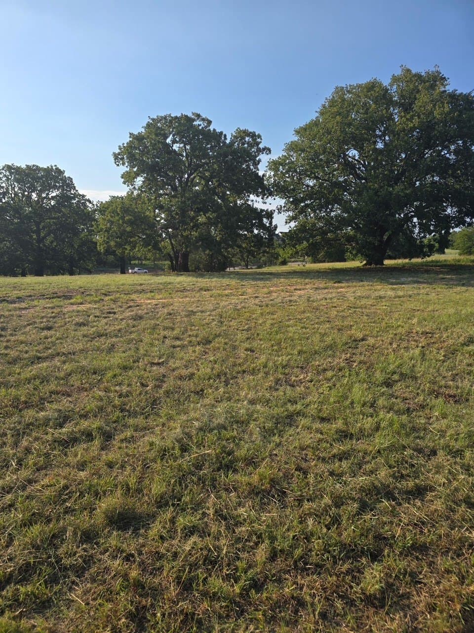 4.28 acres in Montague County gallery image 3