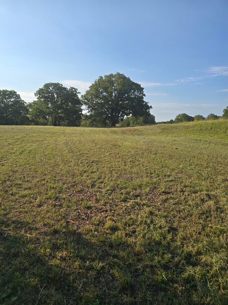 4.28 acres in Montague County gallery image 4