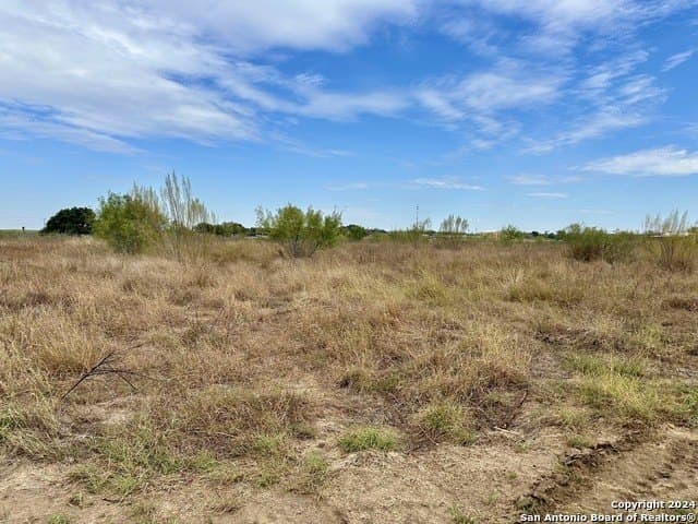 10 acres in Atascosa County gallery image 4