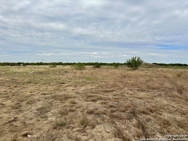 10 acres in Atascosa County gallery image 2