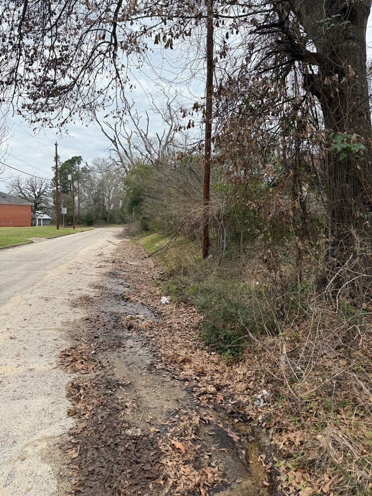 0.17 acres in Texas County gallery image 2