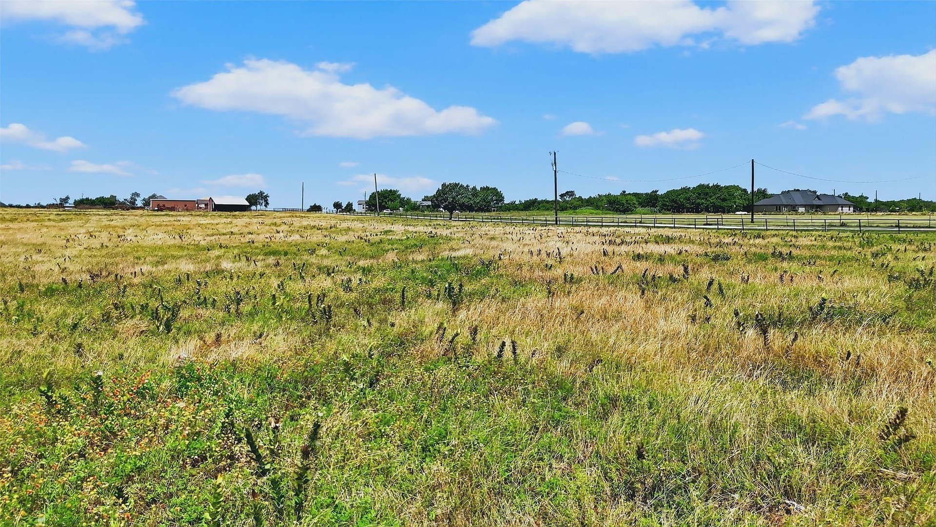 6 acres in Collin County - photo 12