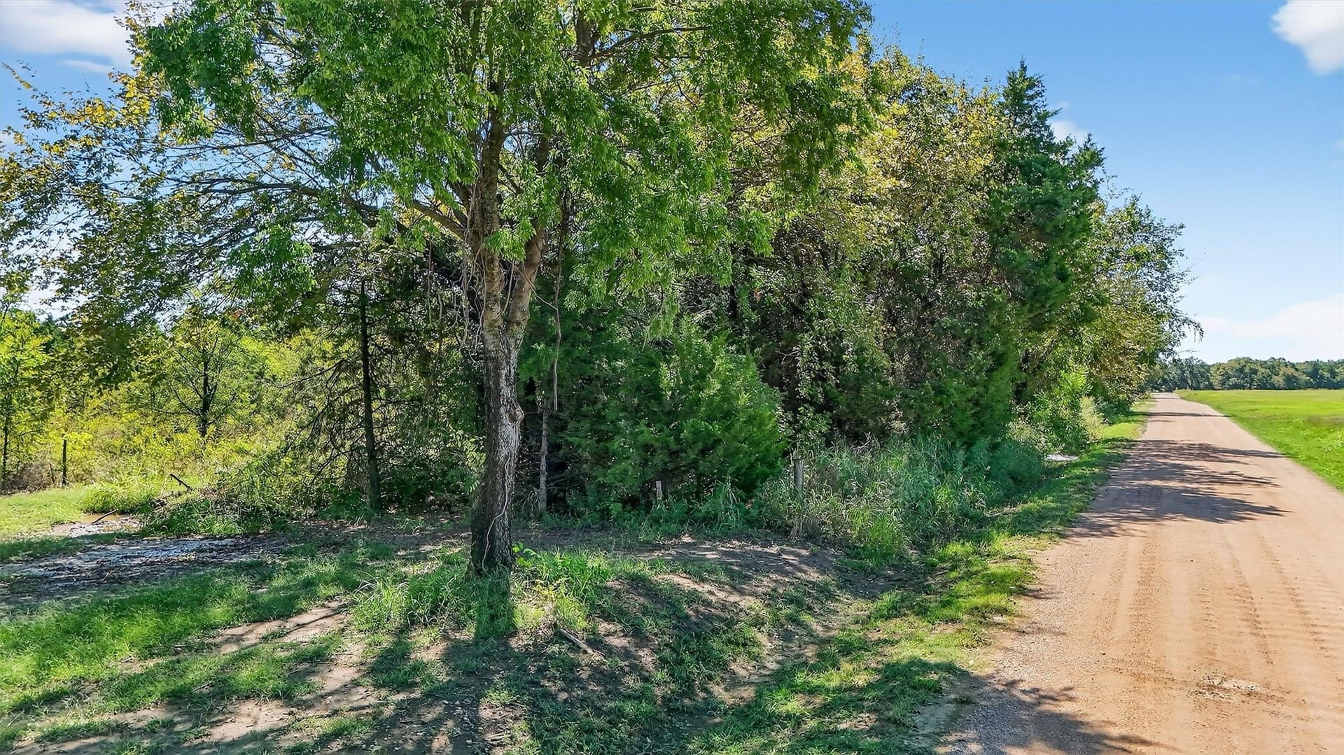 5.56 acres in Grayson County - photo 19