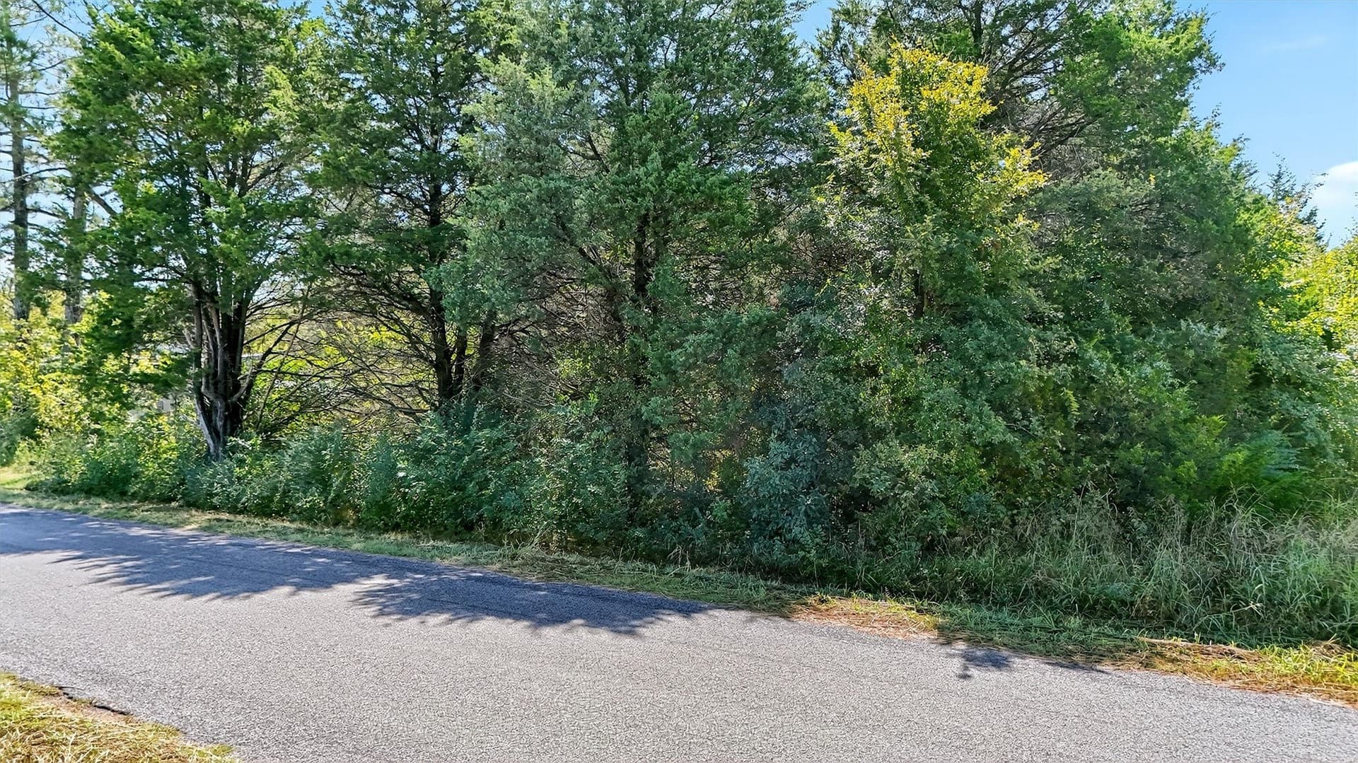 5.56 acres in Grayson County - photo 18
