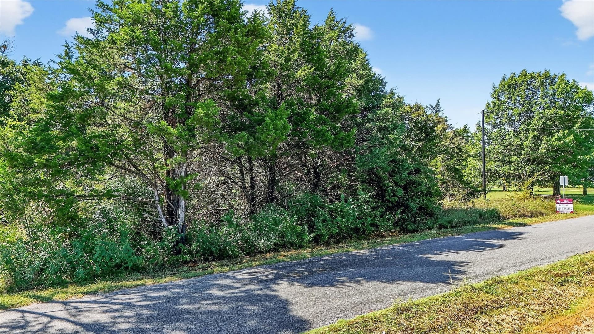 5.56 acres in Grayson County - photo 14