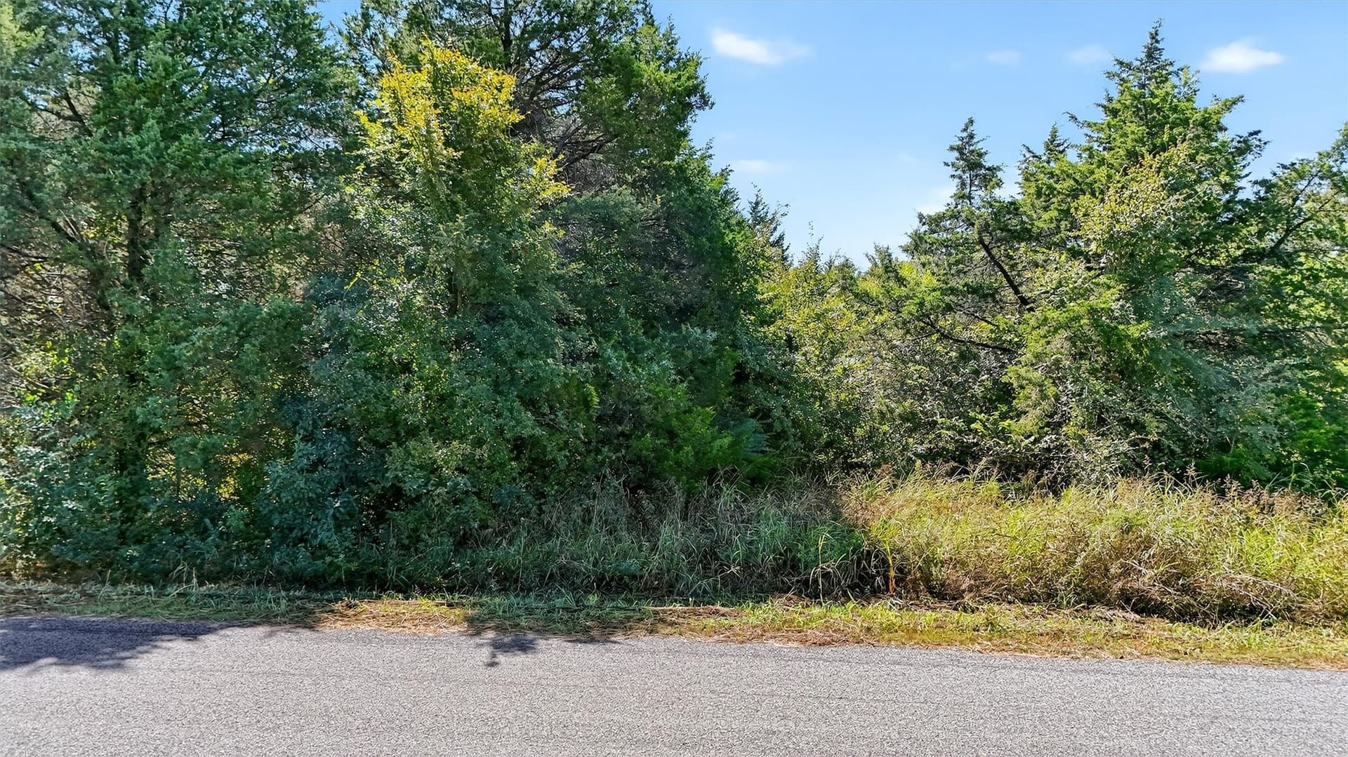 5.56 acres in Grayson County - photo 17
