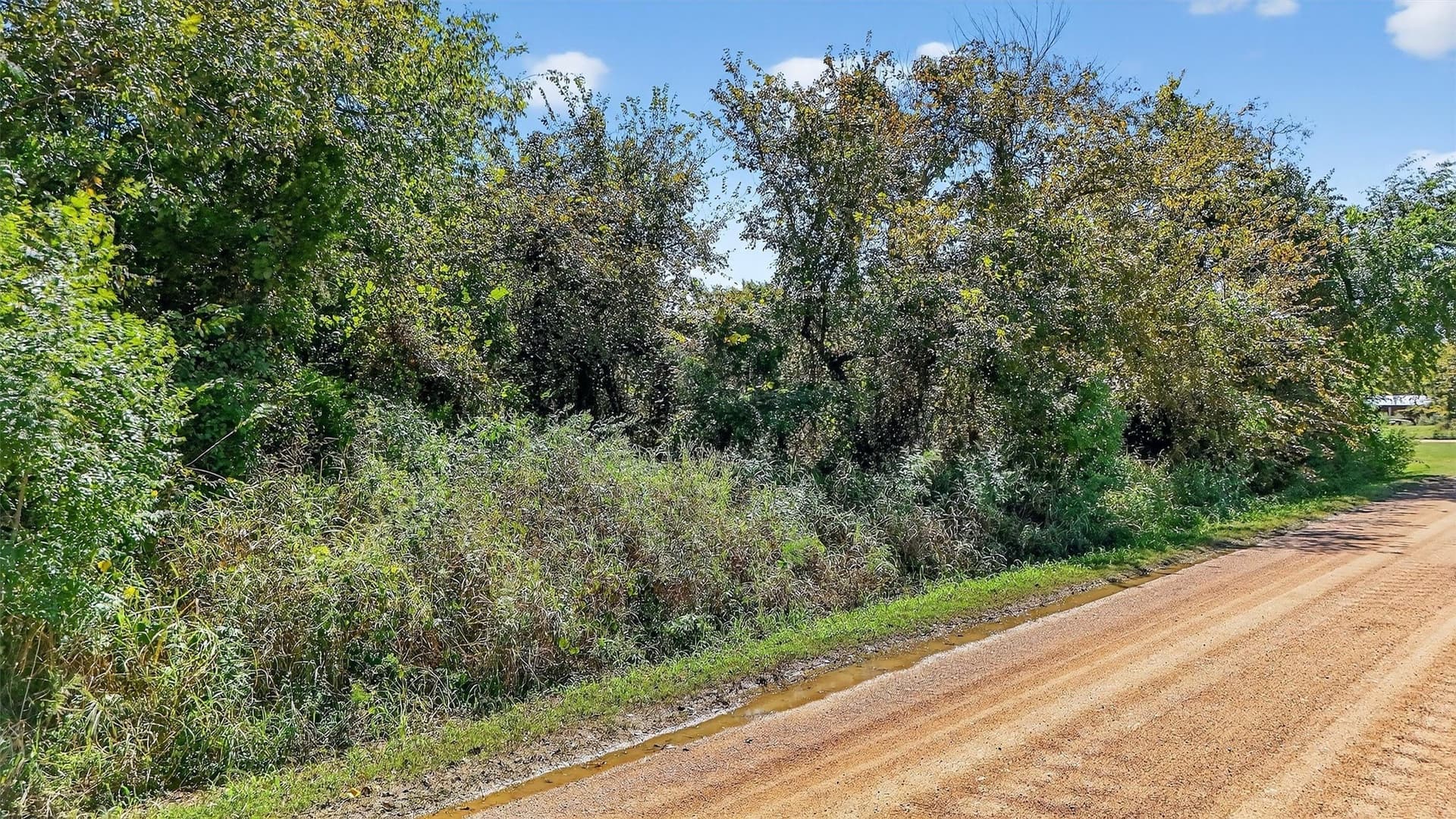 5.56 acres in Grayson County - photo 22