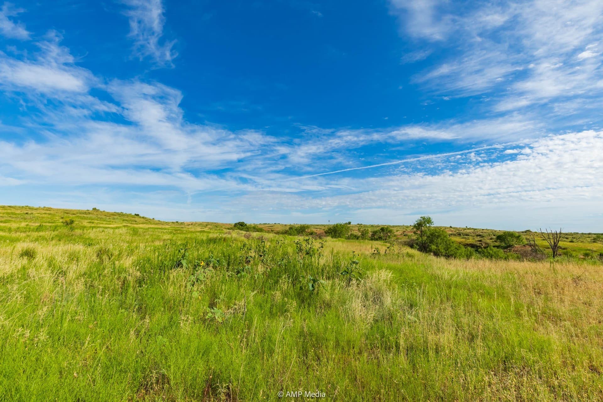721.35 acres in Stonewall County - photo 15