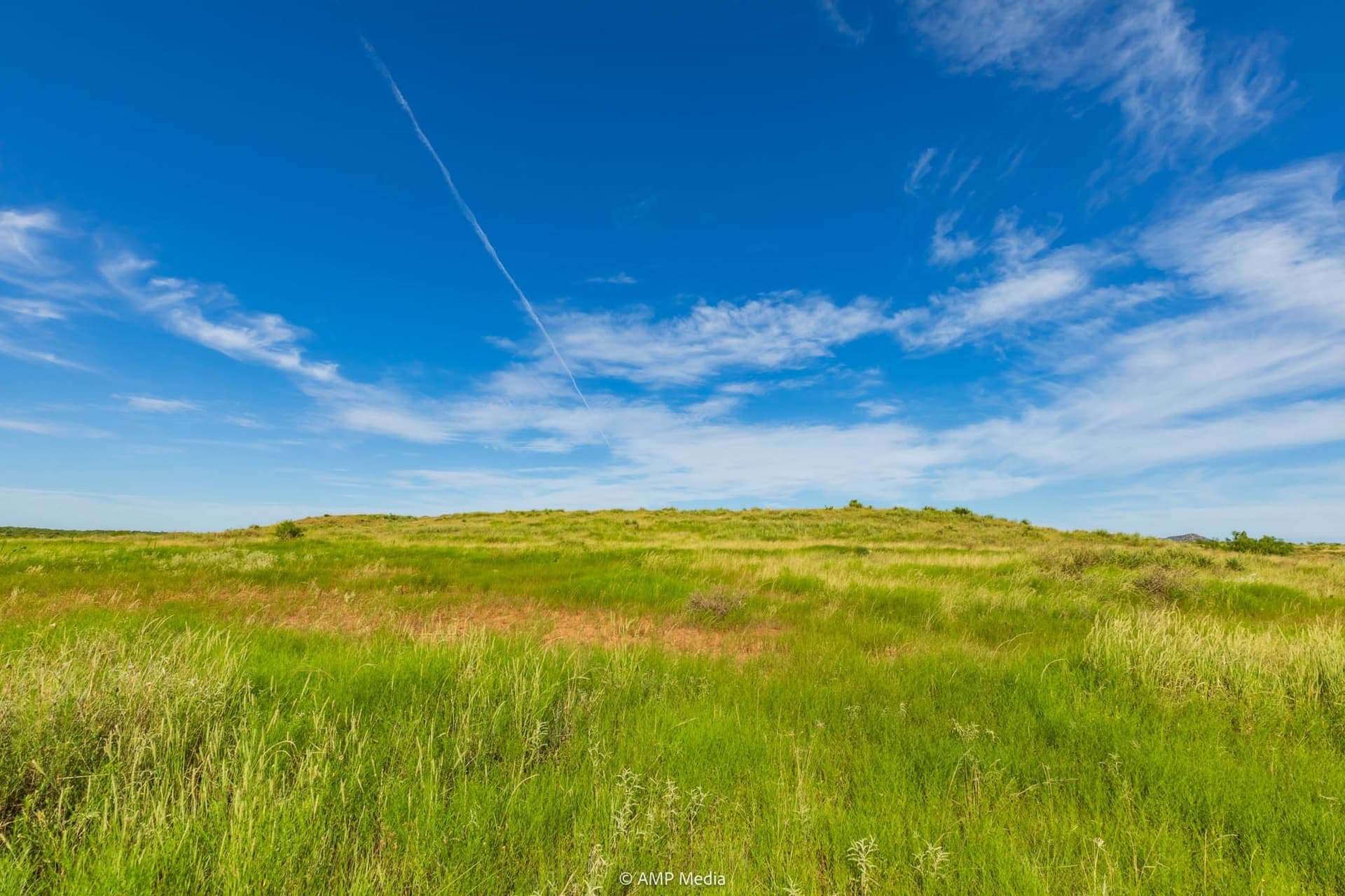 721.35 acres in Stonewall County - photo 11