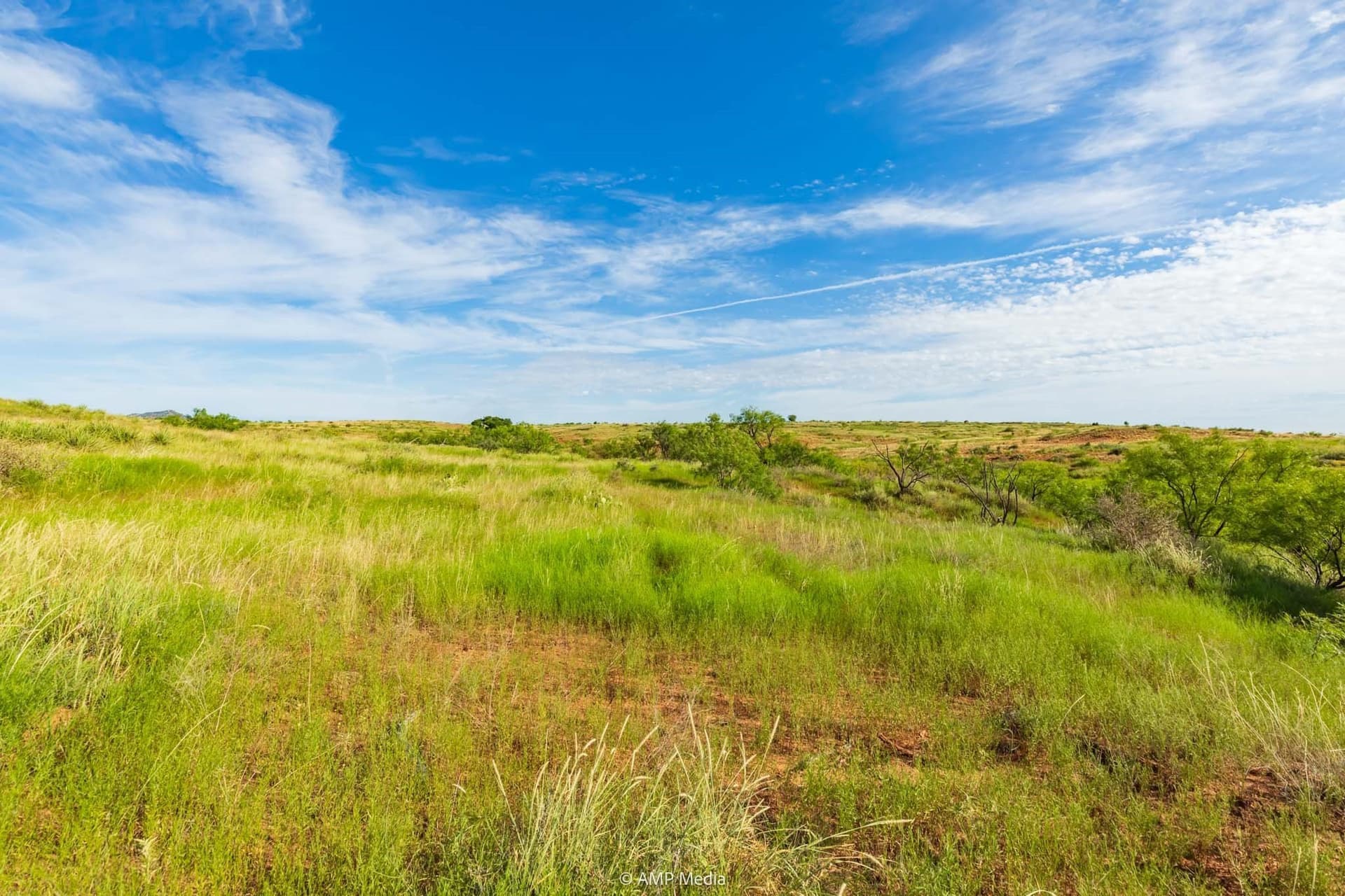 721.35 acres in Stonewall County - photo 12