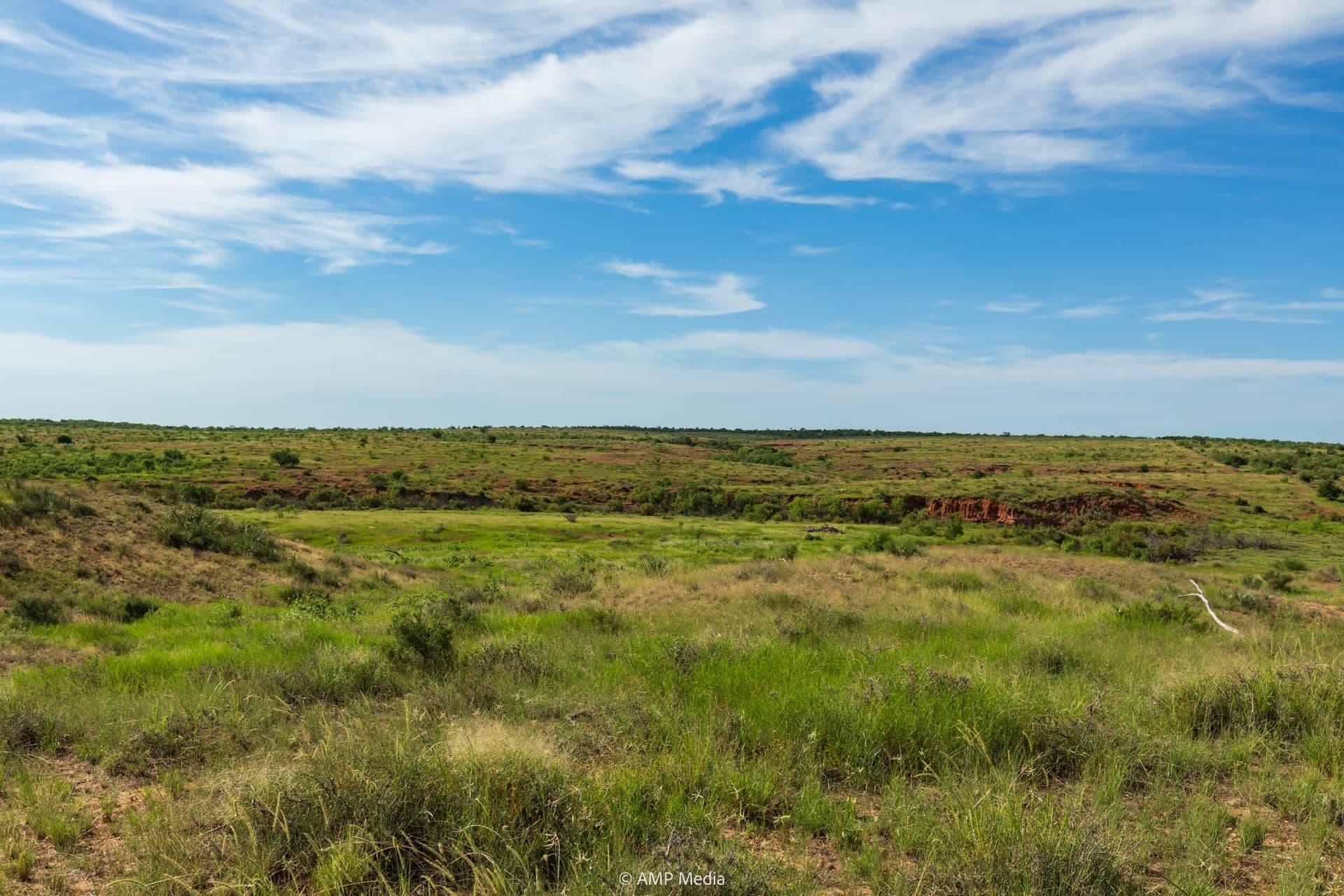 721.35 acres in Stonewall County - photo 21