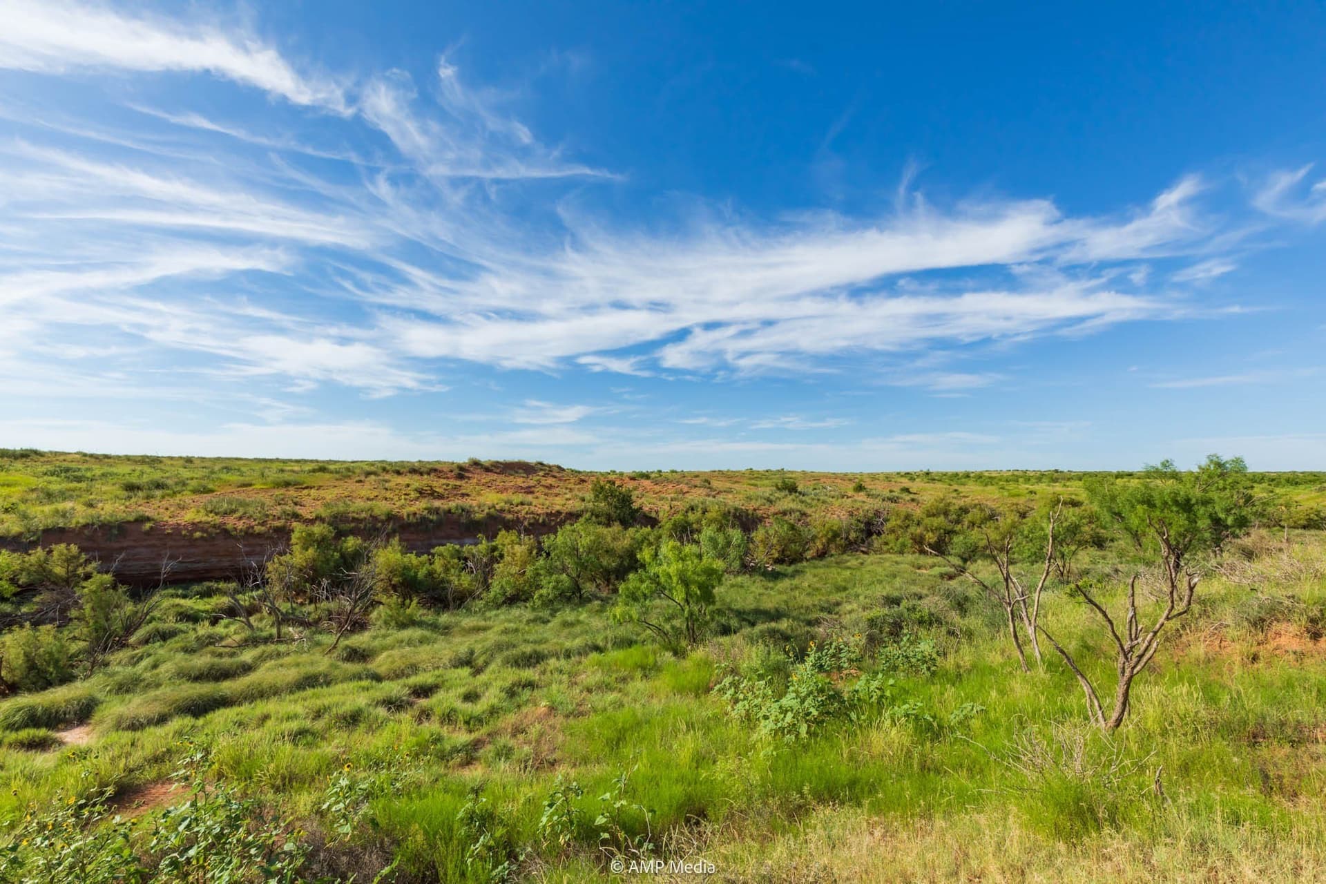 721.35 acres in Stonewall County - photo 13