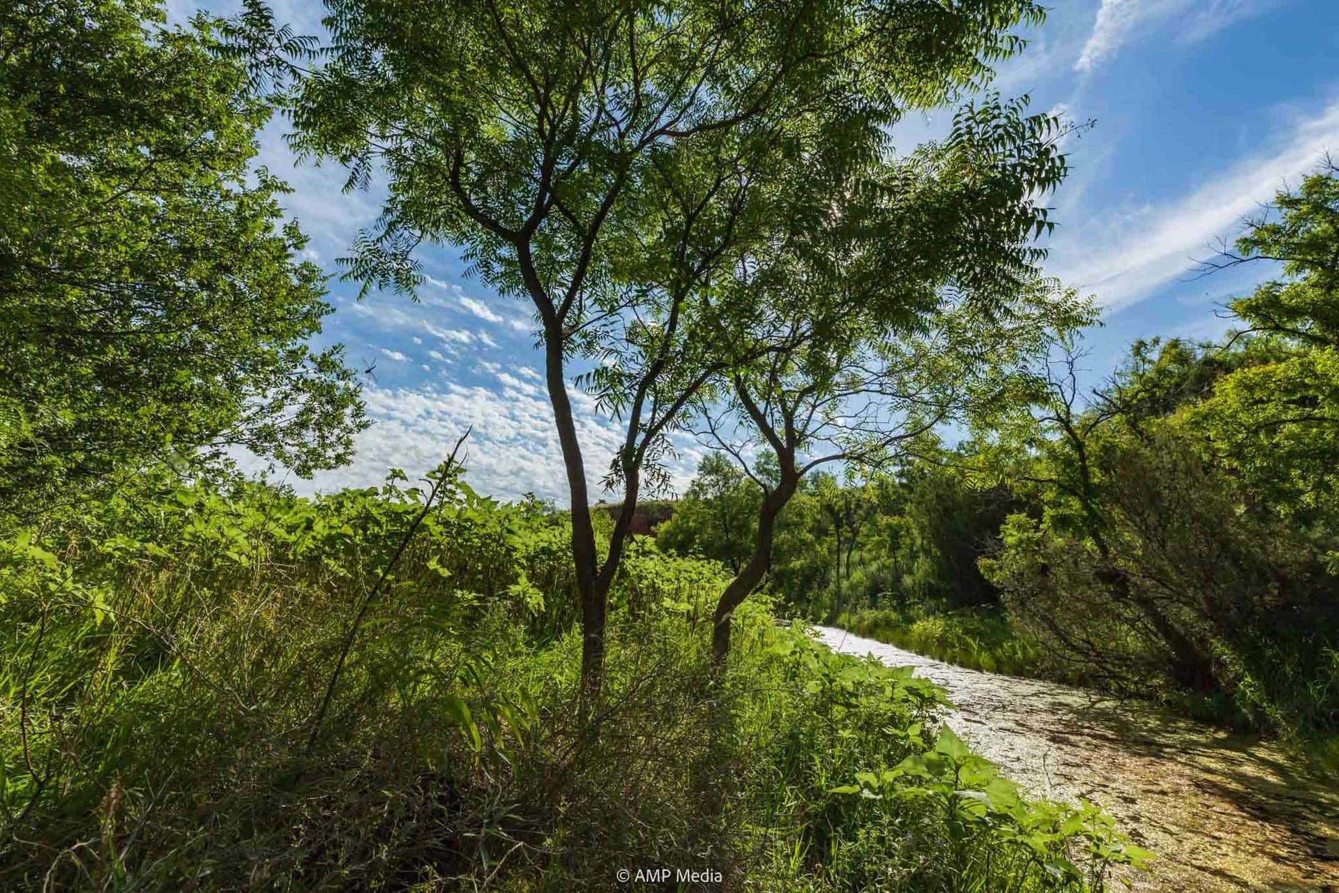 721.35 acres in Stonewall County - photo 16