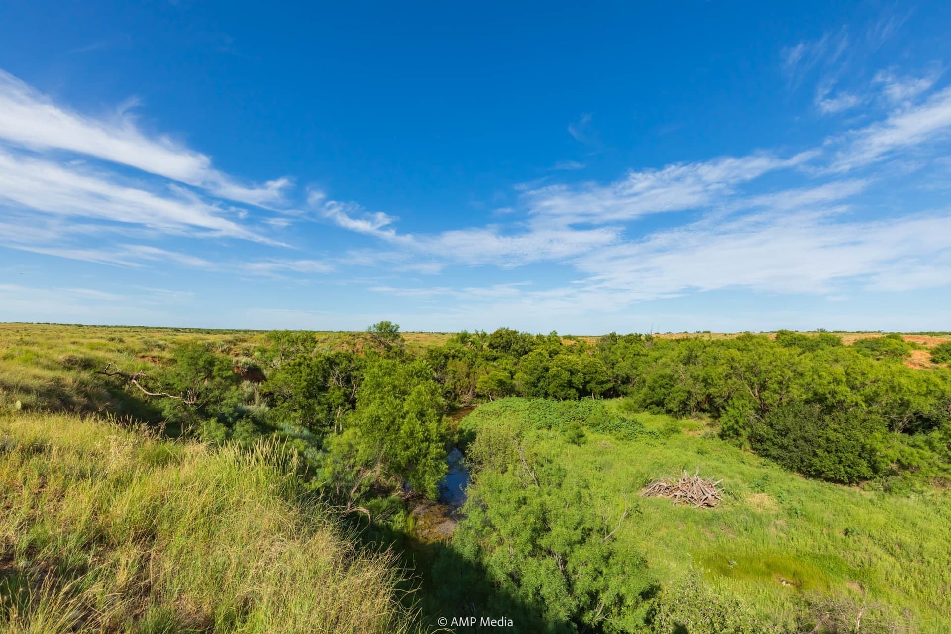 721.35 acres in Stonewall County - photo 9