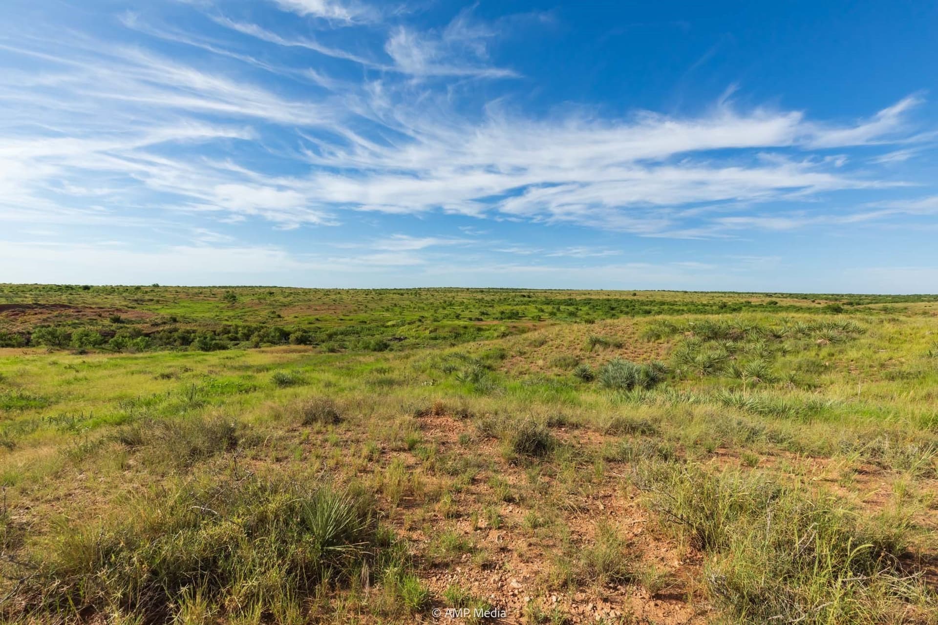 721.35 acres in Stonewall County - photo 7