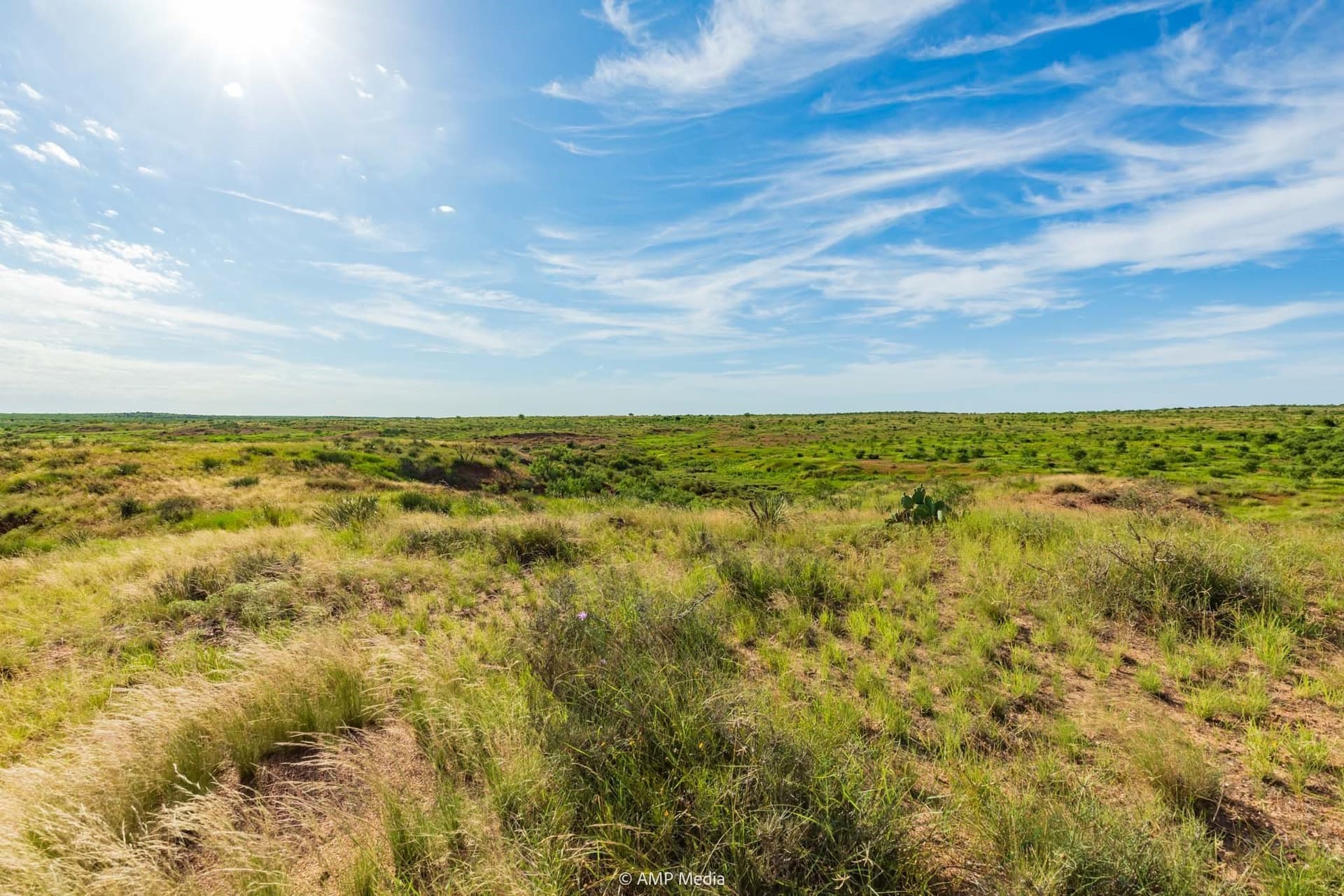 721.35 acres in Stonewall County - photo 6