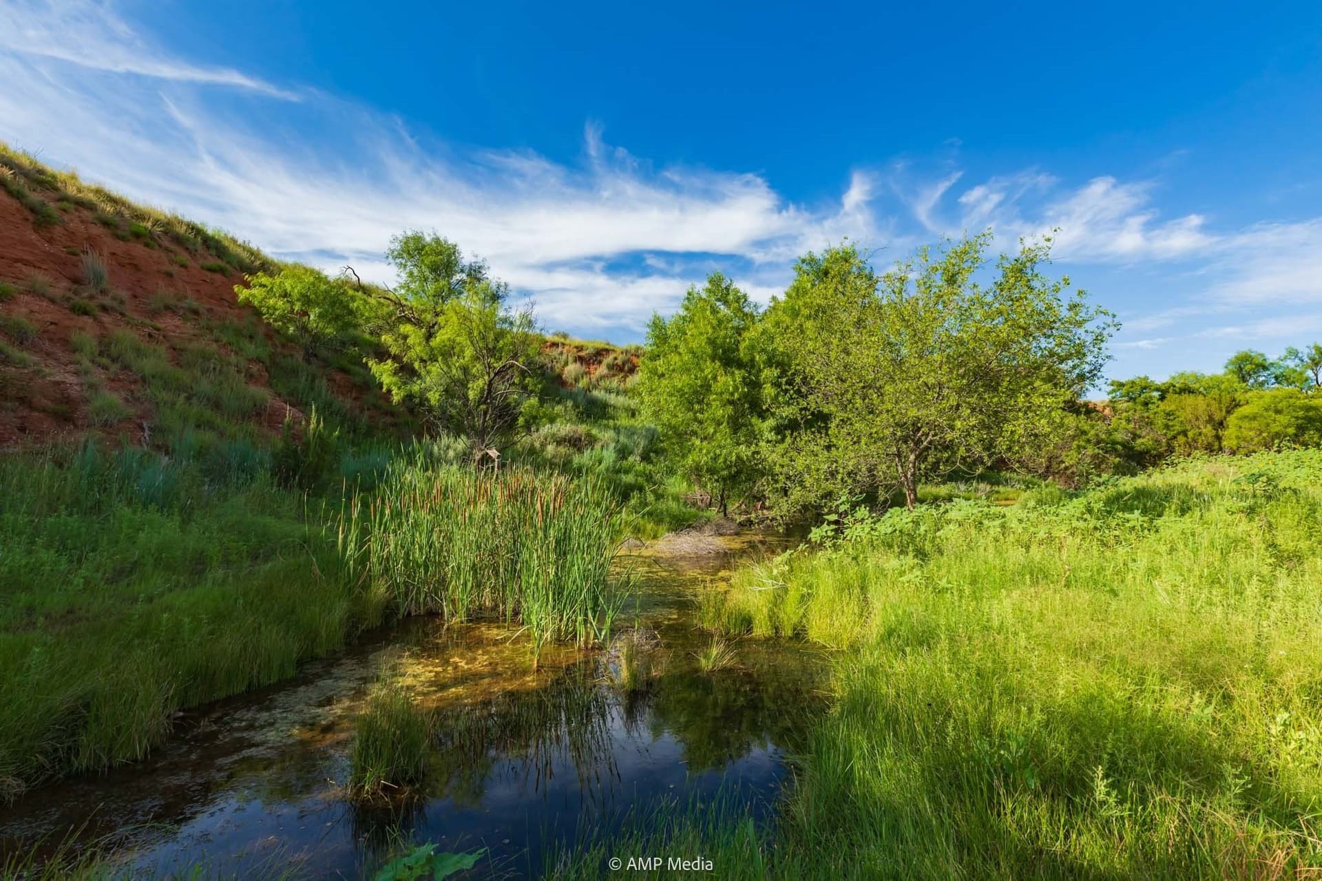 721.35 acres in Stonewall County - photo 17