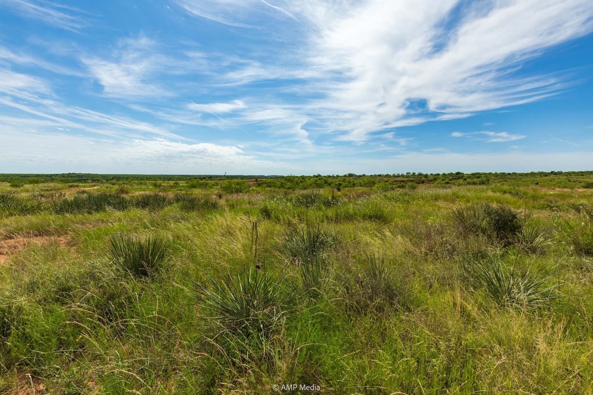 721.35 acres in Stonewall County - photo 39