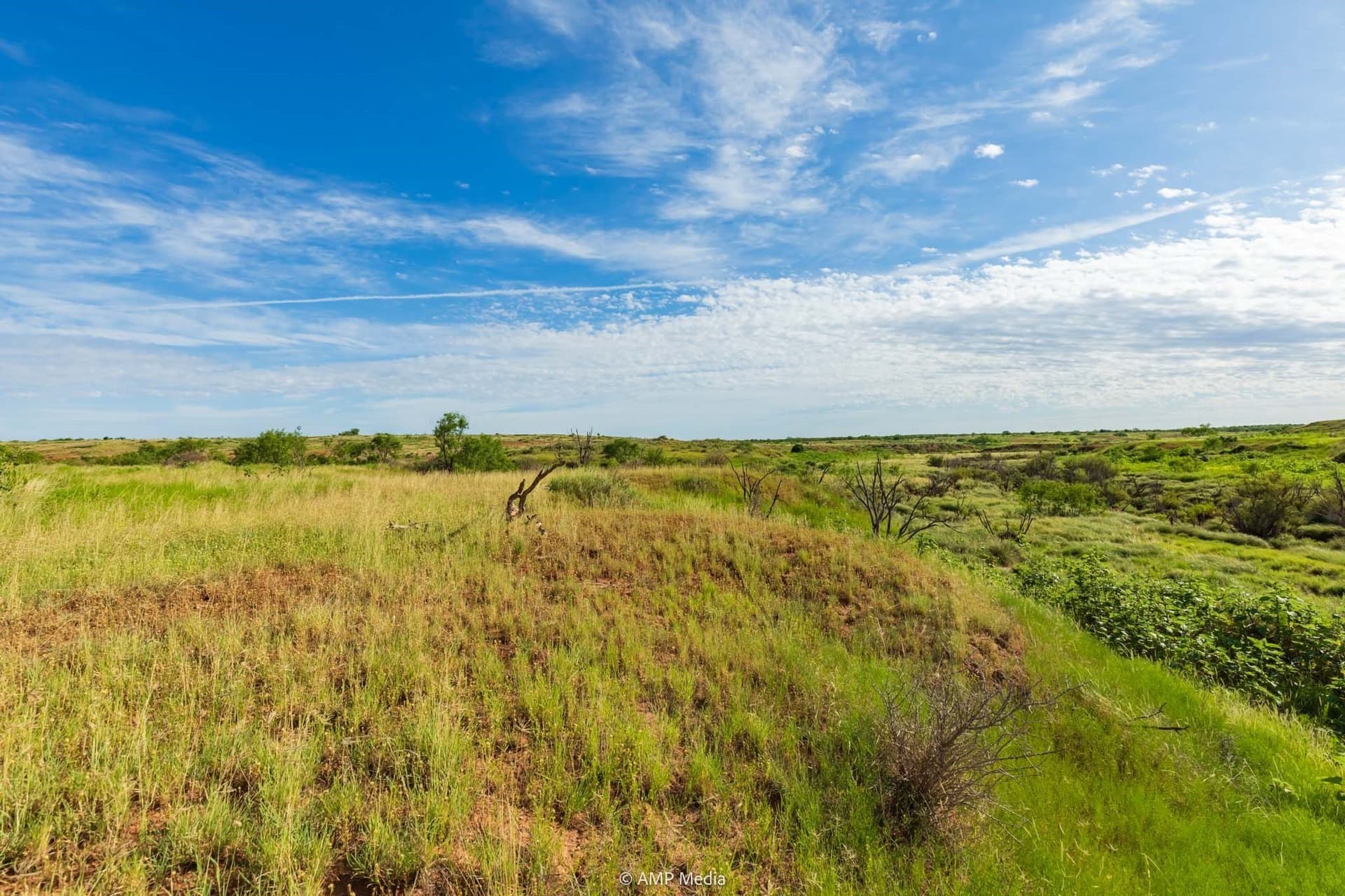 721.35 acres in Stonewall County - photo 14