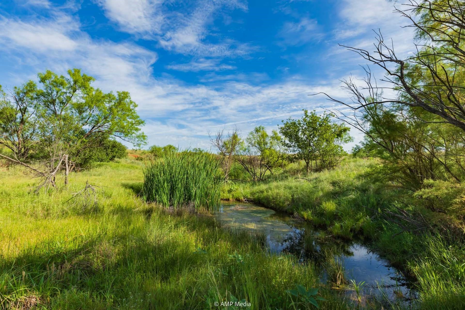 721.35 acres in Stonewall County - photo 18