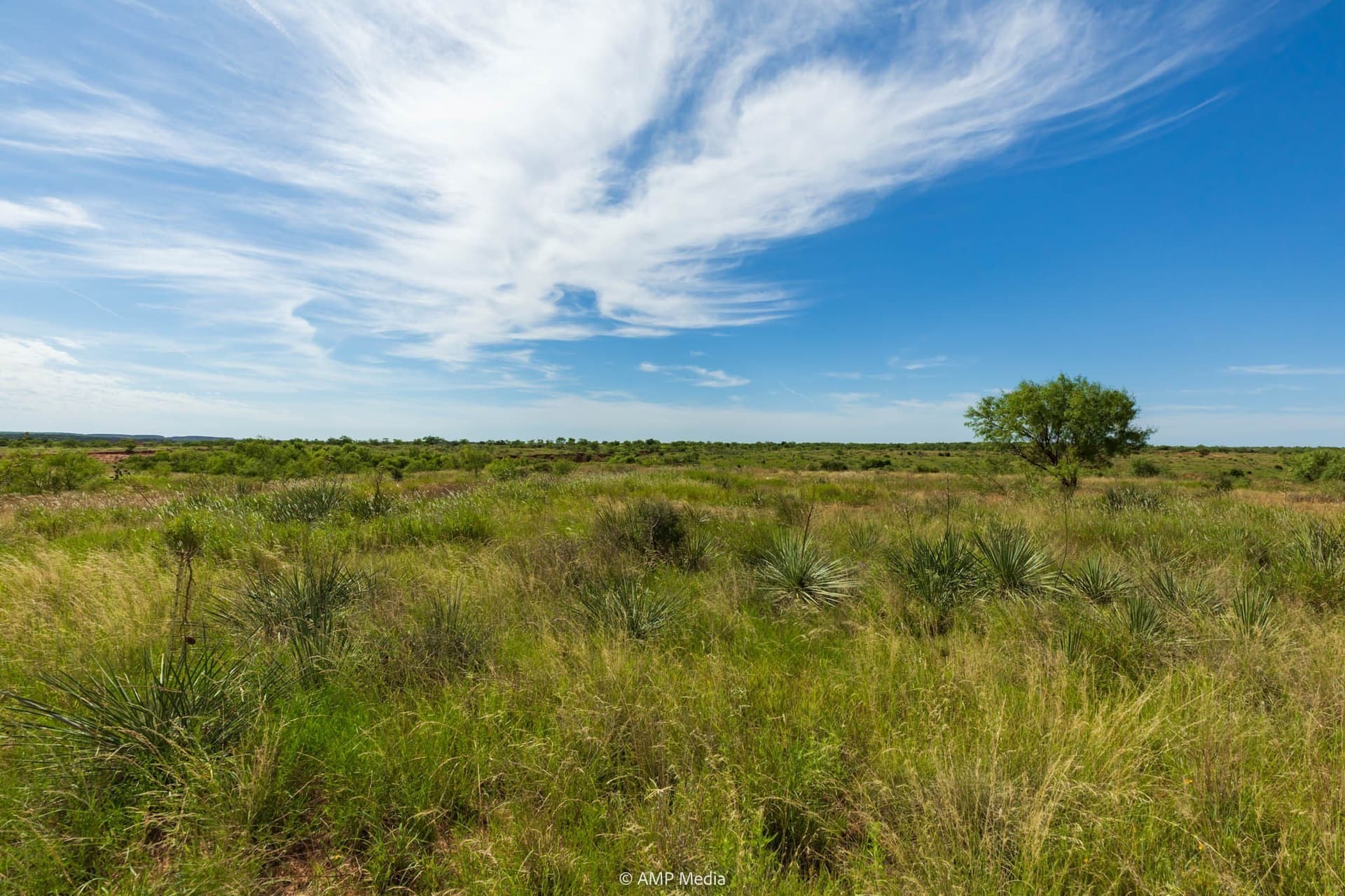 721.35 acres in Stonewall County - photo 38