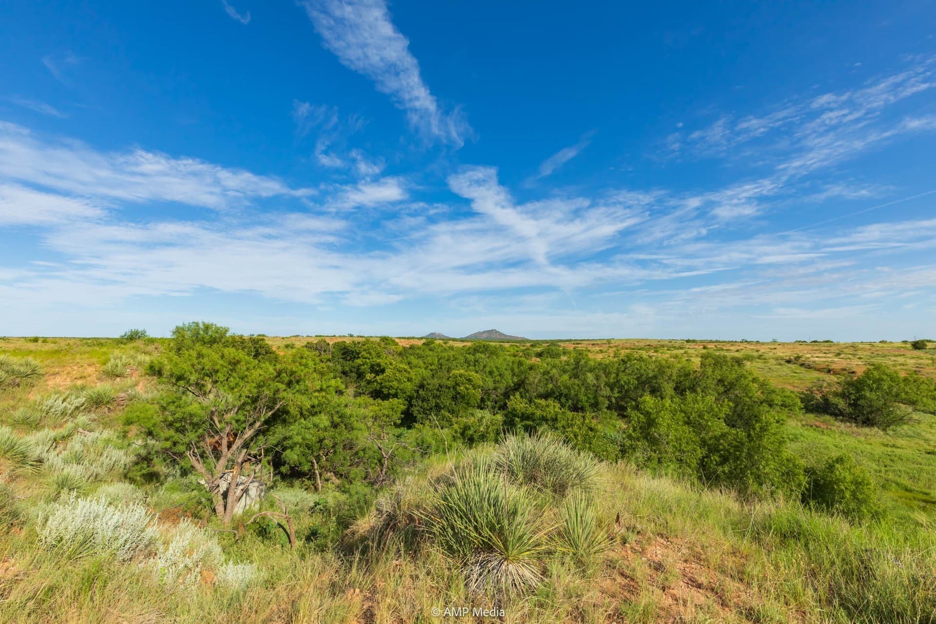 721.35 acres in Stonewall County - photo 8
