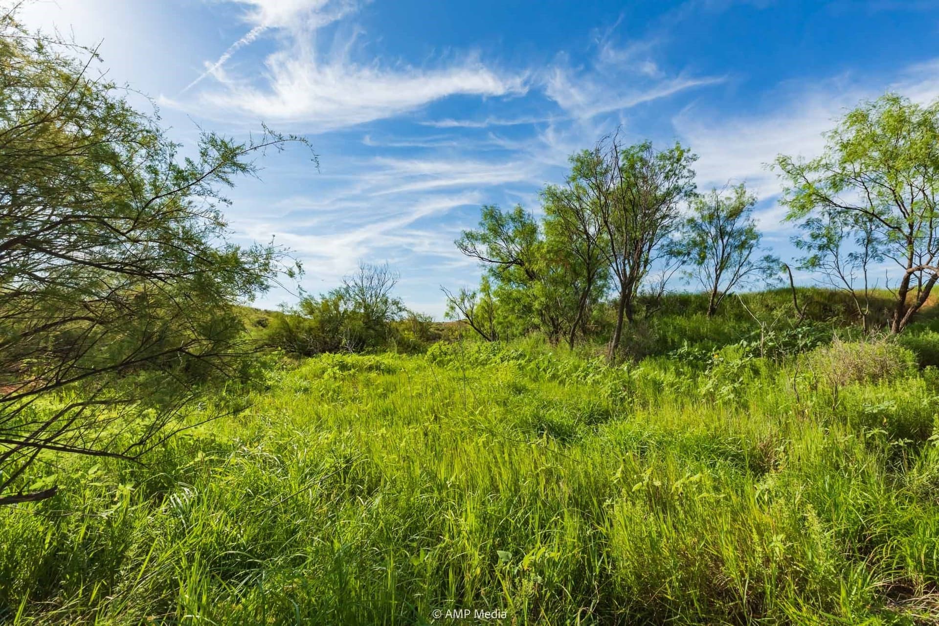 721.35 acres in Stonewall County - photo 10