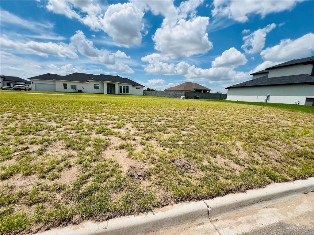 0.31 acres in Hidalgo County gallery image 2