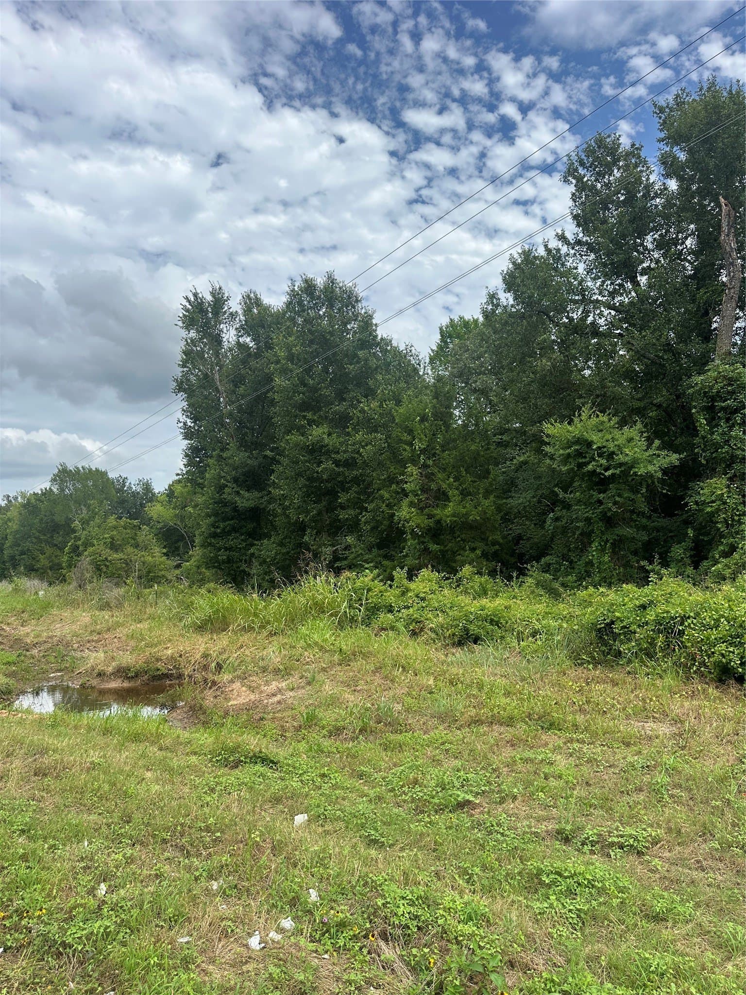 8.25 acres in Freestone County gallery image 2