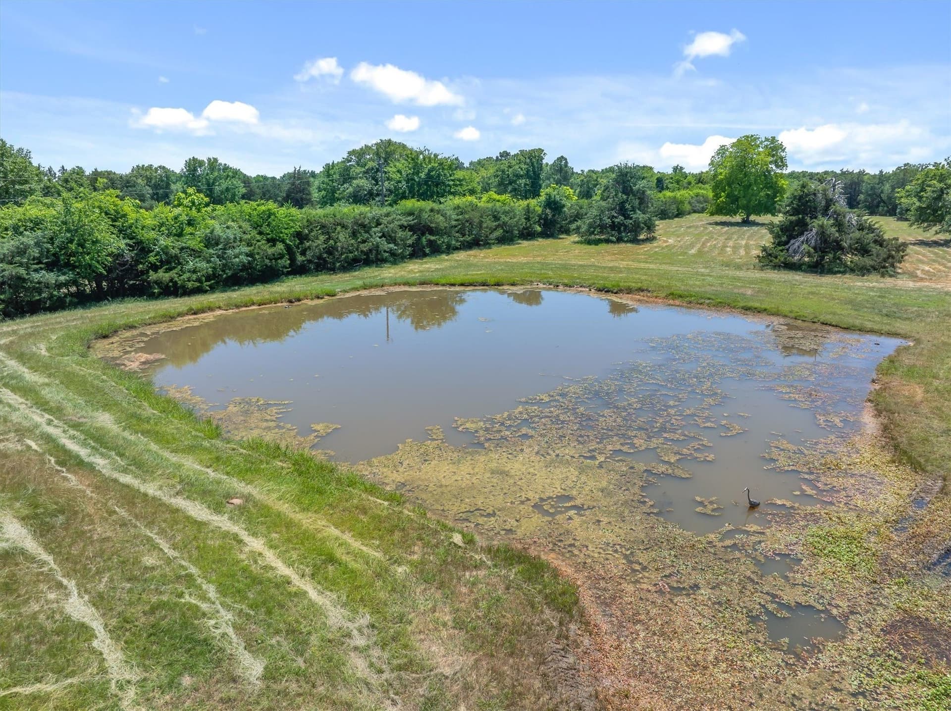 26.94 acres in Kaufman County - photo 4
