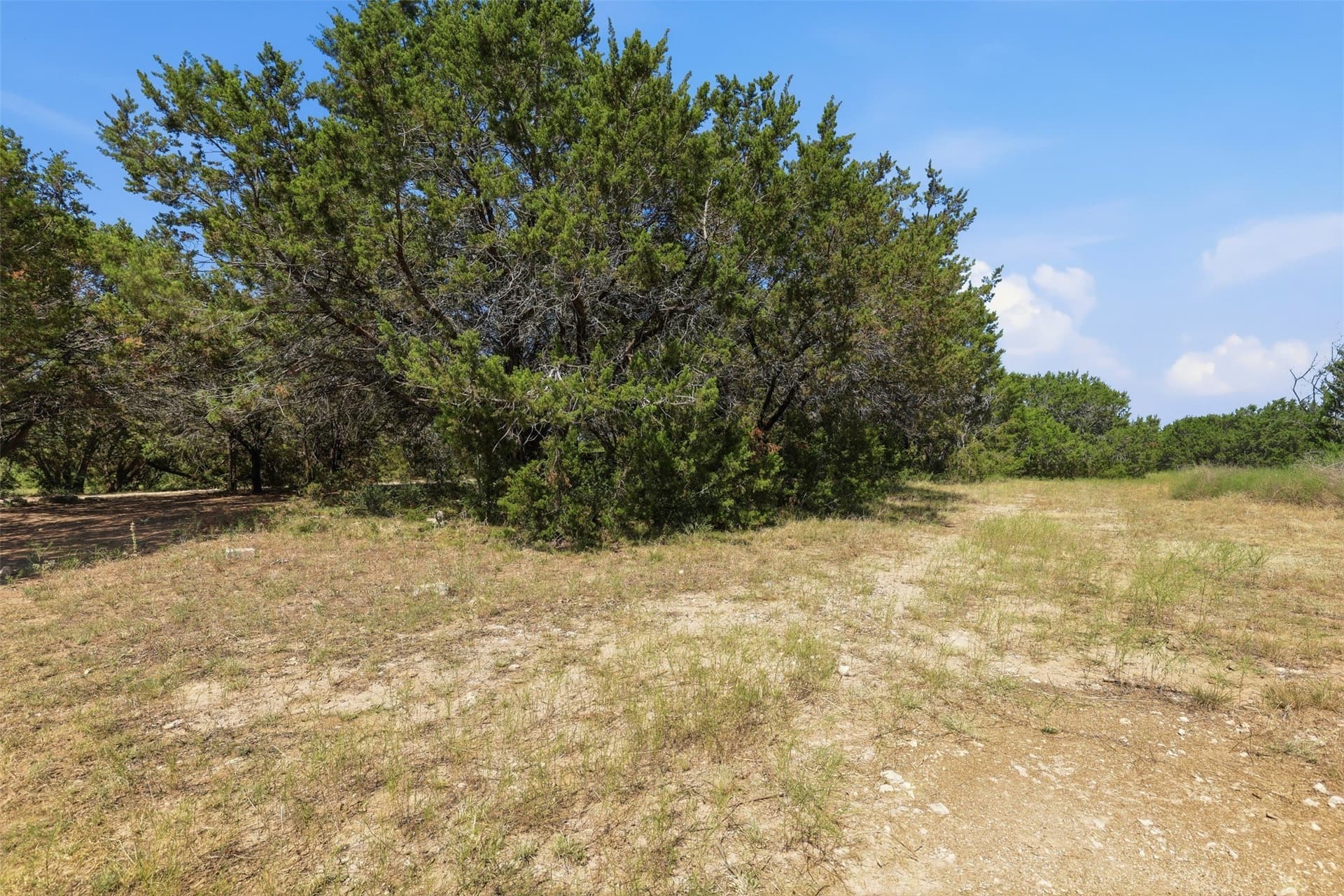 13 acres in Johnson County - photo 32