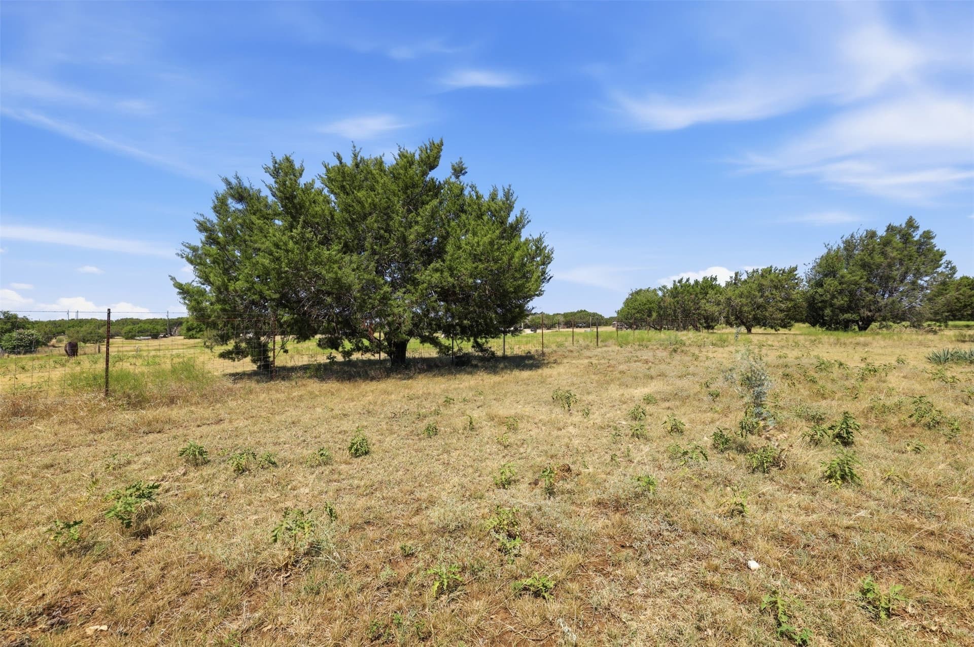 13 acres in Johnson County - photo 36