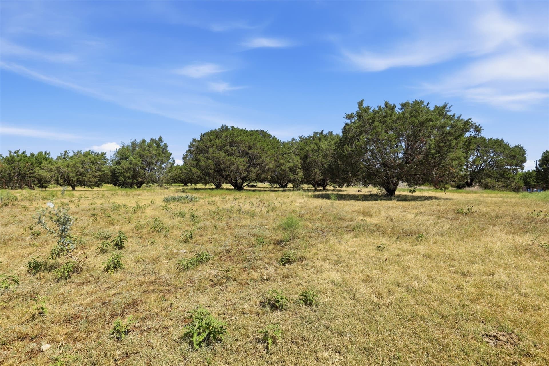 13 acres in Johnson County - photo 35