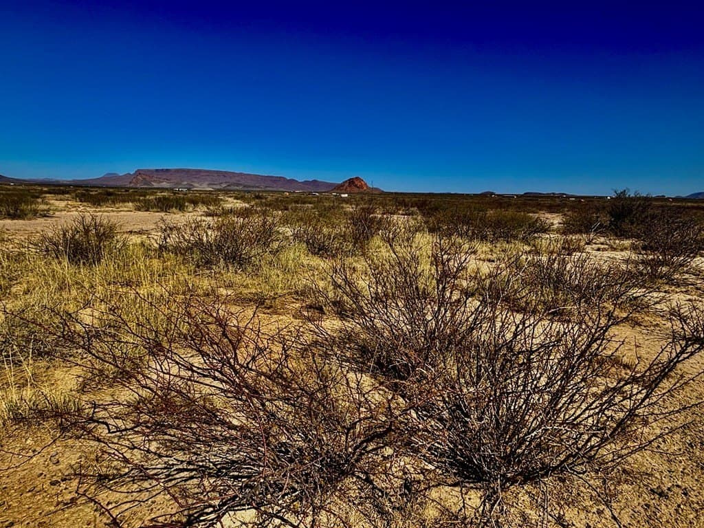 10 acres in Brewster County - photo 10