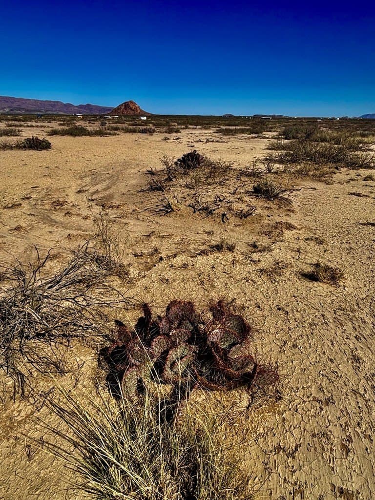 10 acres in Brewster County - photo 16