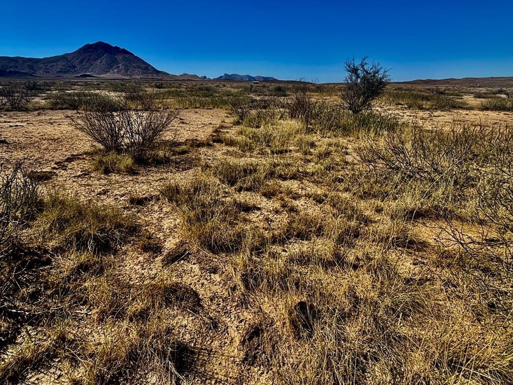 10 acres in Brewster County - photo 9