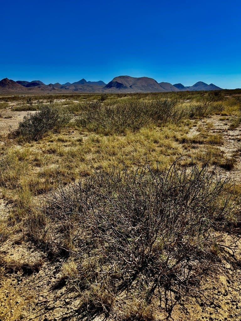 10 acres in Brewster County featured view