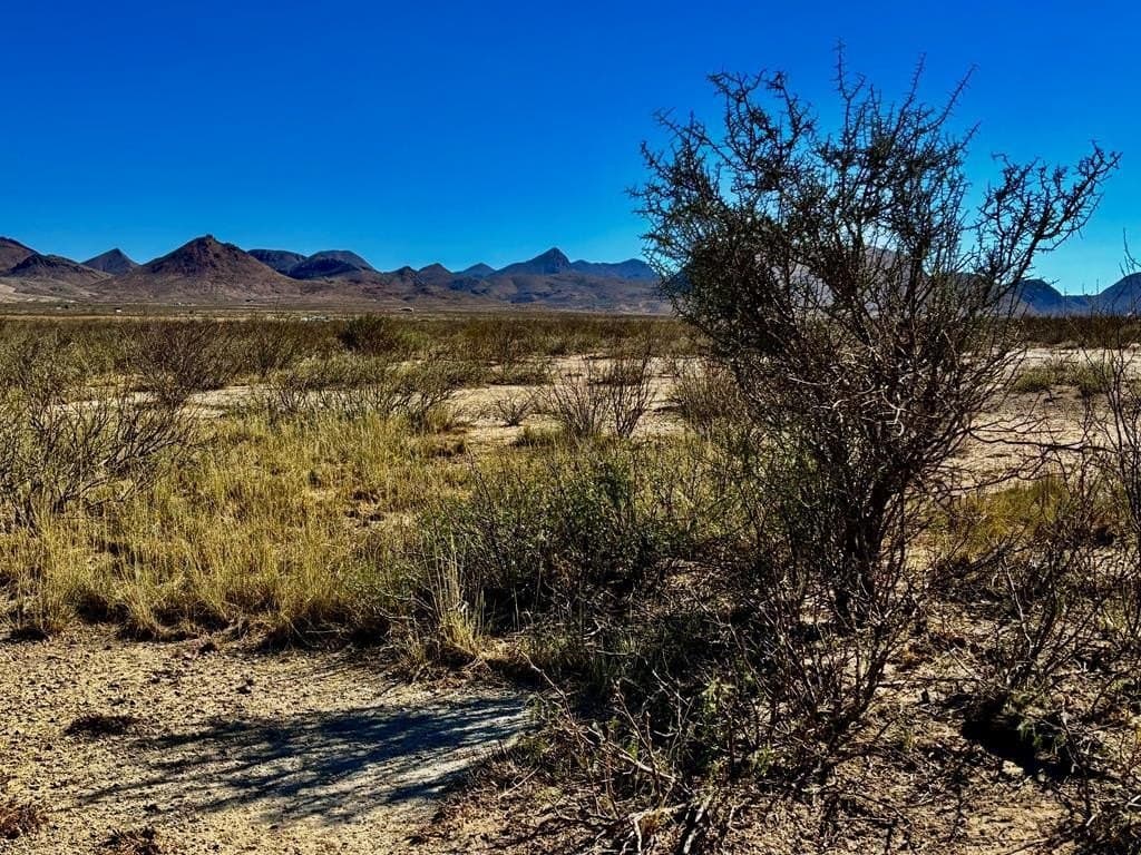 10 acres in Brewster County gallery image 2