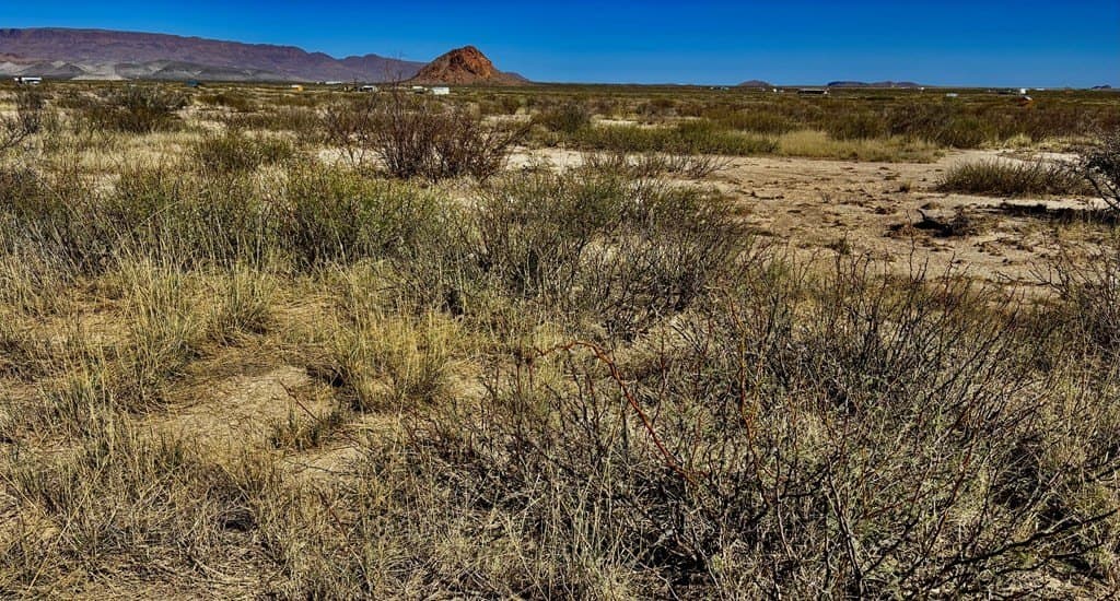 10 acres in Brewster County - photo 12