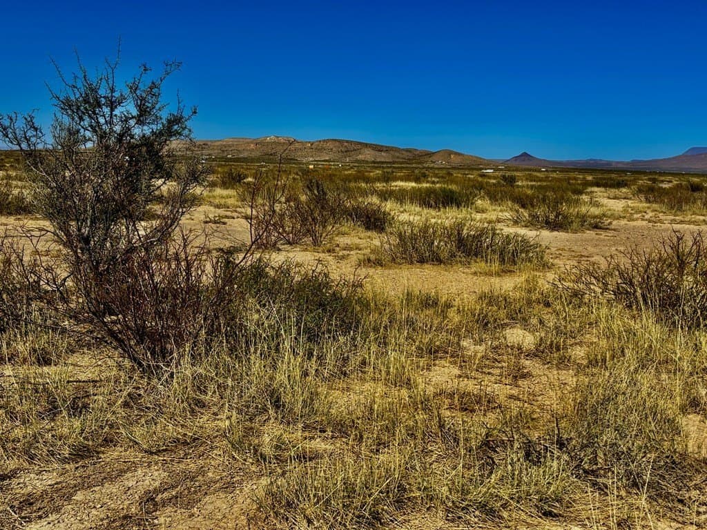 10 acres in Brewster County - photo 14