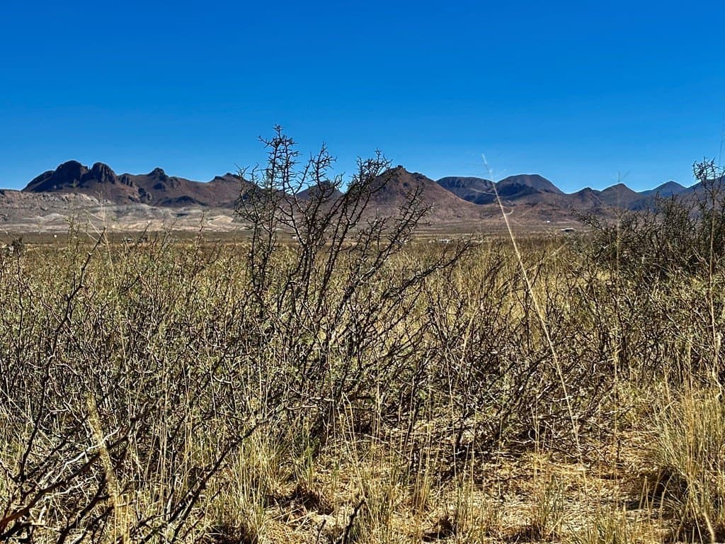 10 acres in Brewster County - photo 6