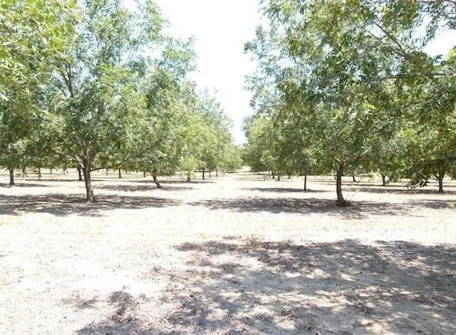 105 acres in San Saba County gallery image 3