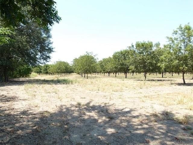105 acres in San Saba County featured view