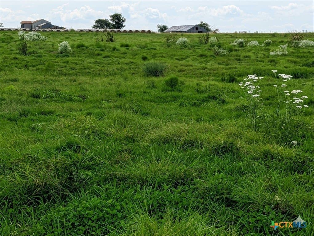 29.69 acres in Coryell County - photo 4
