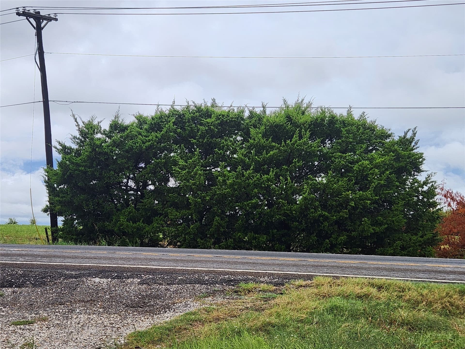 7.13 acres in Collin County - photo 8