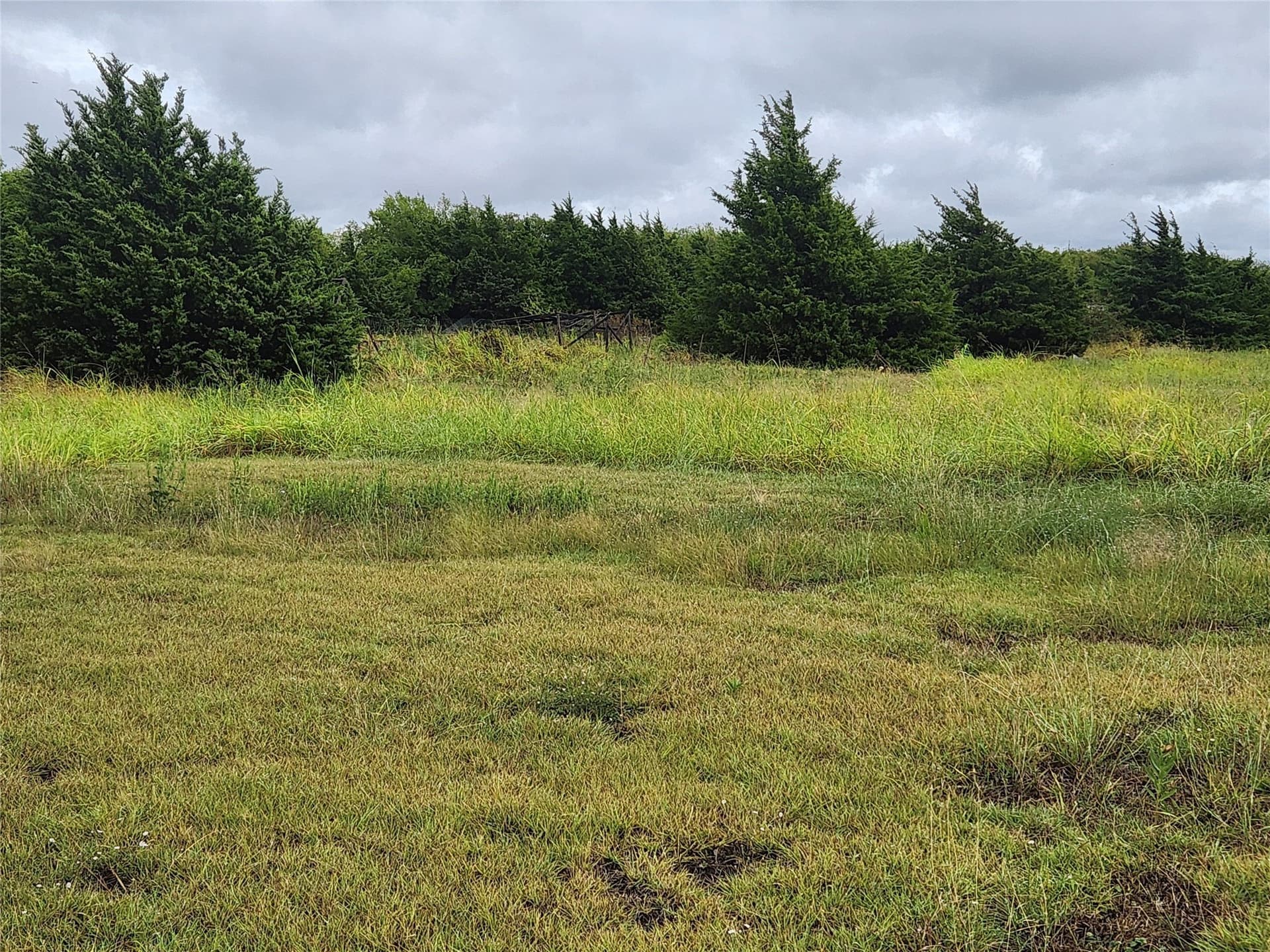 7.13 acres in Collin County - photo 6