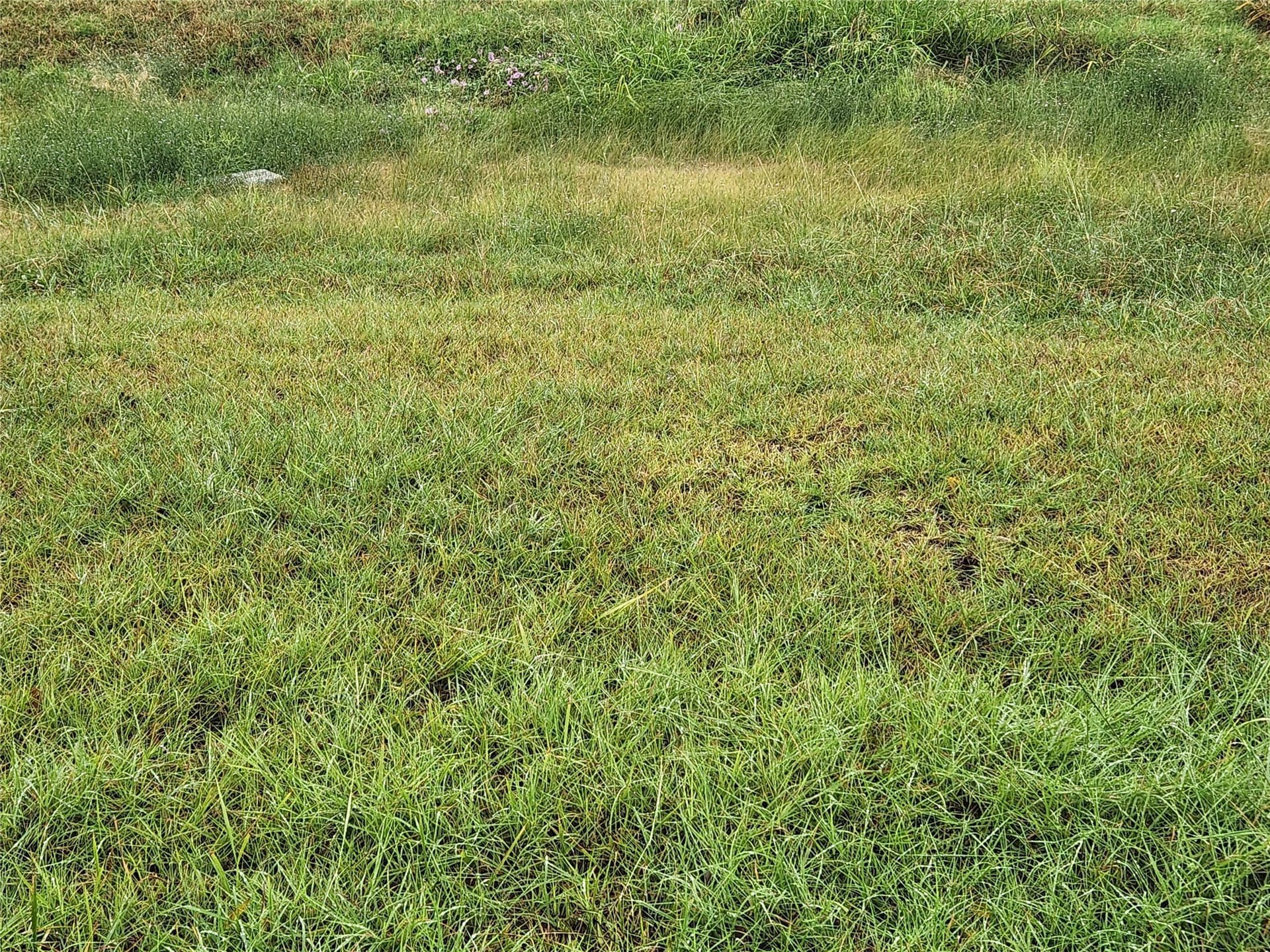 7.13 acres in Collin County - photo 12