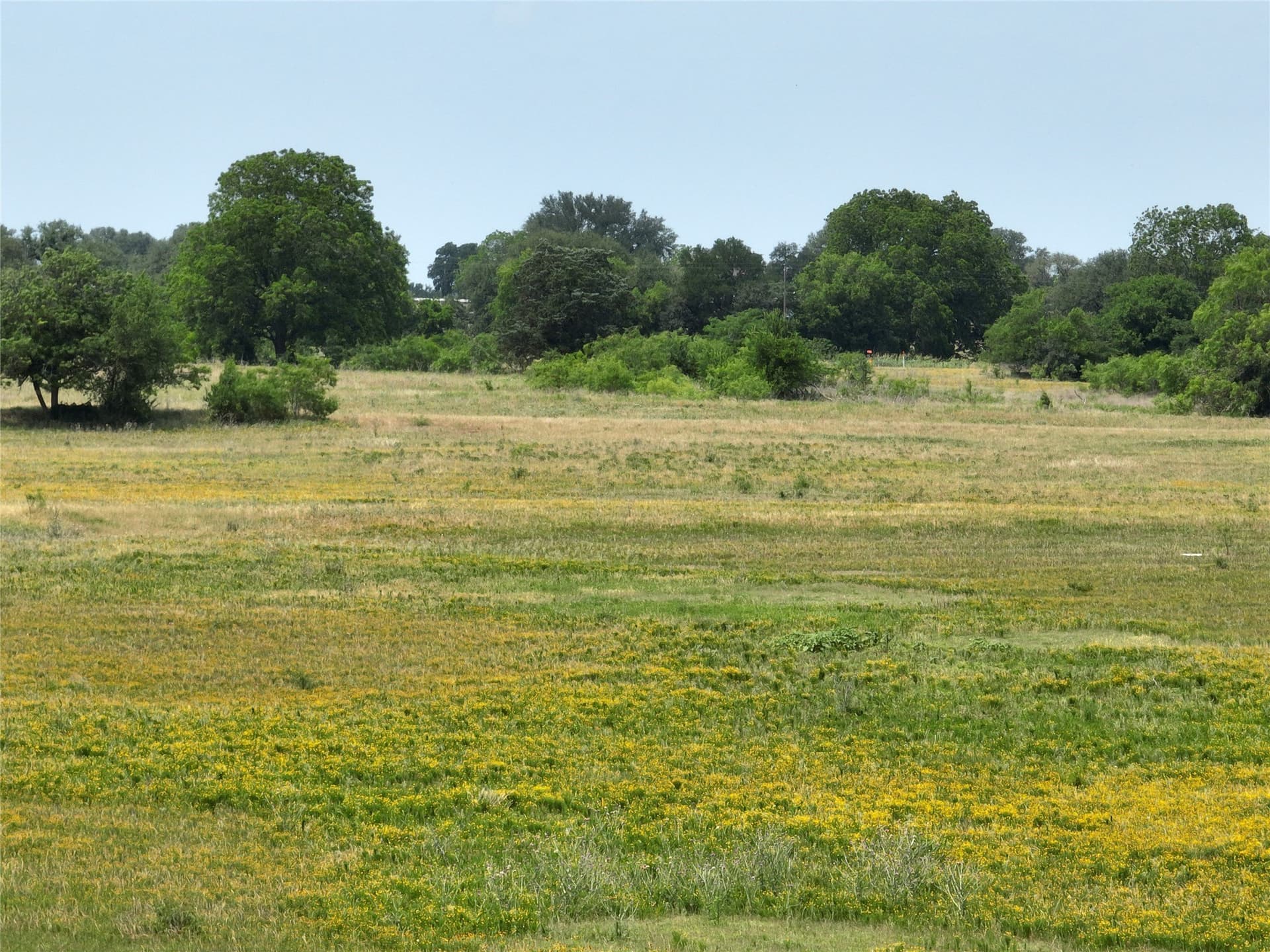 7.6 acres in Falls County - photo 5